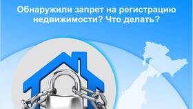 Что означает запрет на регистрационные действия в Санги Стиль