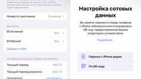 Что такое виртуальная карта в iPhone в Санги Стиль