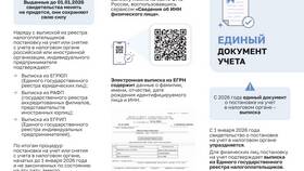 Что такое выписка единого лица в Санги Стиль