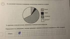 Что входит в сумму: состав и компоненты в Санги Стиль