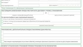 Что вносят в страховой полис в Санги Стиль