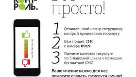 Госуслуги и МФЦ: в чем разница в Санги Стиль