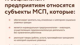 К чему относятся услуги и товары в Санги Стиль