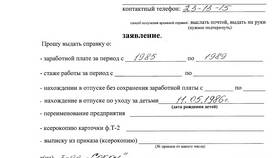 Как написать заявление на получение справки в Санги Стиль