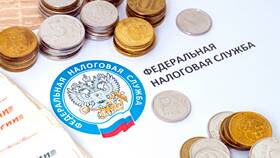 Как облагаются налогом вклады в 2024 году в Санги Стиль