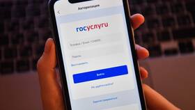 Как получить данные трудовой книжки через Госуслуги в Санги Стиль