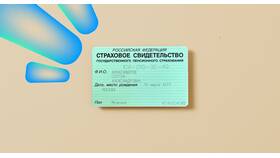 Как проверить СНИЛС на портале Госуслуги в Санги Стиль