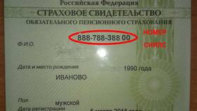 Как проверить СНИЛС по фамилии в Санги Стиль