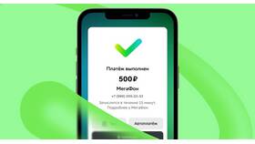 Как работает автоплатеж Билайн в Санги Стиль
