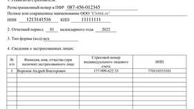 Как заполнить форму ЕФС-1 при ликвидации ООО в Санги Стиль