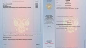 Направление как официальный документ в Санги Стиль