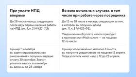 Почему индивидуальный предприниматель должен платить налоги в Санги Стиль