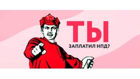 Почему не исчисляется НДФЛ в Санги Стиль