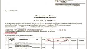 Штраф в налоговую: что указать в платежном поручении в Санги Стиль