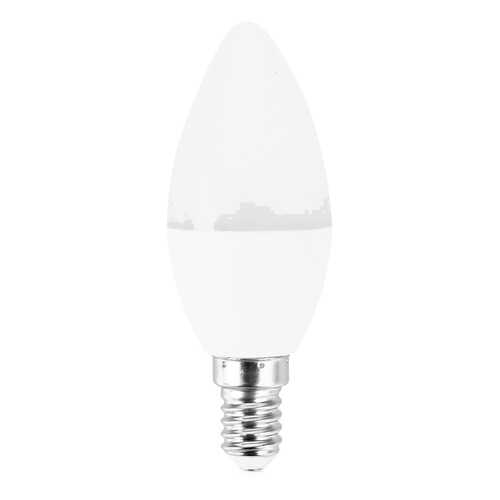 Лампа светодиодная ASD свеча C37 E14 10W 4000K, 102x37, пластик/алюминий, standard, 5576 в Санги Стиль