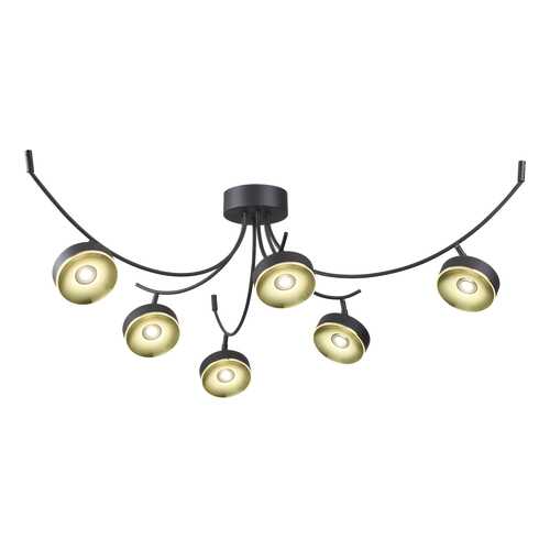 Люстра потолочная Odeon Light 3812/42CL в Санги Стиль